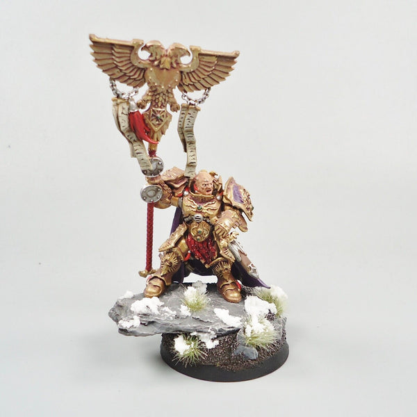 Warhammer 40k Army Adeptus Custodes Character Painted