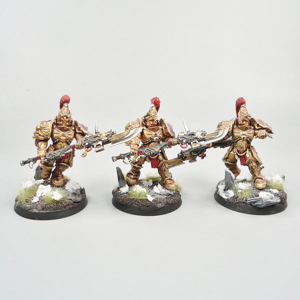 Warhammer 40k Army Adeptus Custodes Custodian Guard Squad Painted