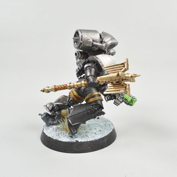 Warhammer 30k Army Raven Guard Horus Heresy Scratch Built Character Painted