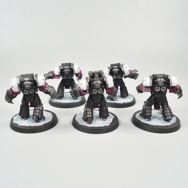 Warhammer 30k Army Raven Guard Horus Heresy Cataphractii Terminators x5 Painted