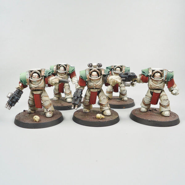 Warhammer 30k Army Death Guard Horus Heresy Cataphractii Terminators x5 Painted