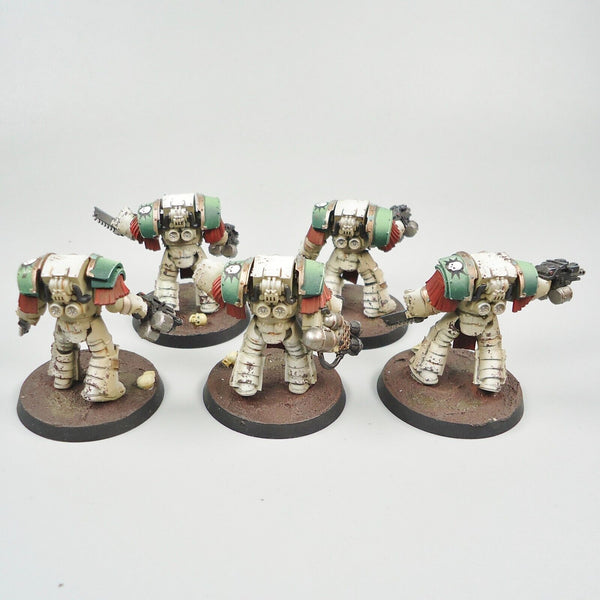 Warhammer 30k Army Death Guard Horus Heresy Cataphractii Terminators x5 Painted