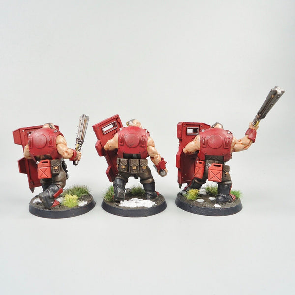 Warhammer 40k Army Astra Militarum Imperial Guard Bullgryns x3 Painted