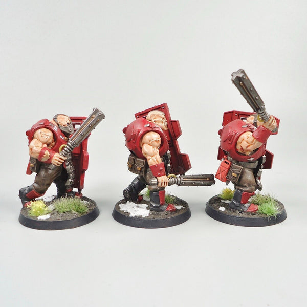 Warhammer 40k Army Astra Militarum Imperial Guard Bullgryns x3 Painted