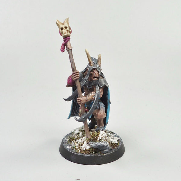 Warhammer Fantasy Age of Sigmar Army Beasts Of Chaos Beastmen Great Bray-Shaman