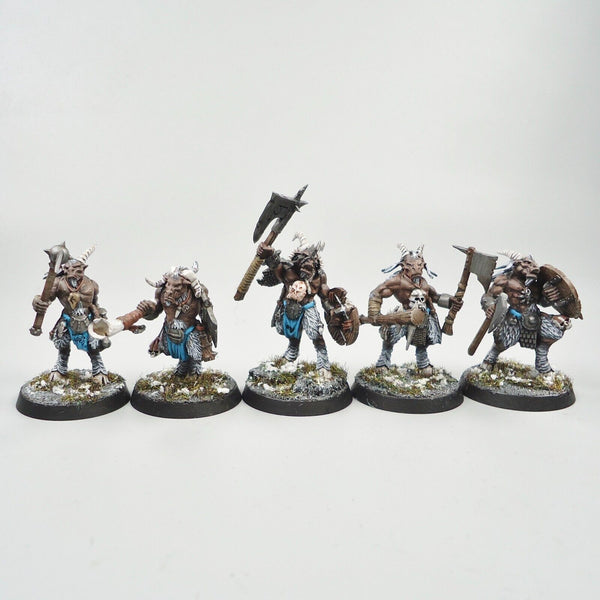 Warhammer Fantasy Age of Sigmar Army Beasts Of Chaos Beastmen Gors x10 Painted