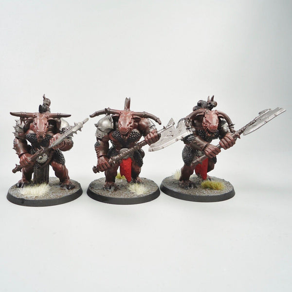 Warhammer Fantasy Age of Sigmar Army Beasts Of Chaos Beastmen Bullgors x3