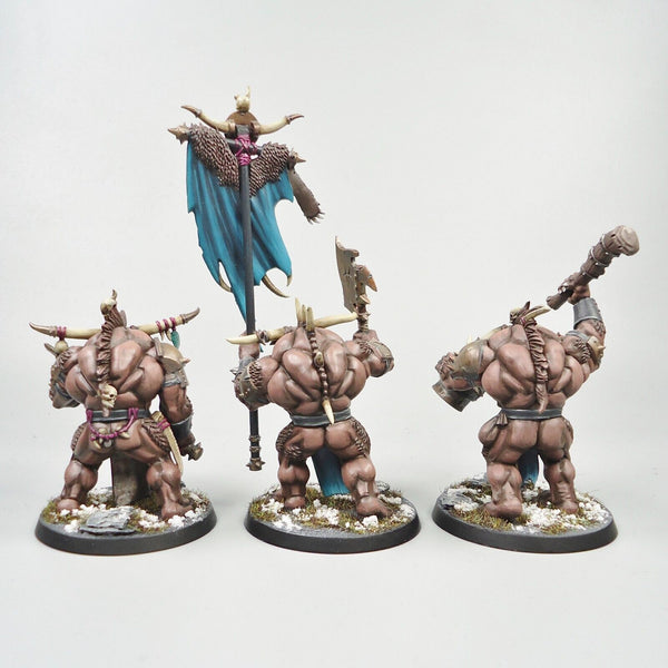 Warhammer Fantasy Age of Sigmar Army Beasts Of Chaos Beastmen Bullgors x3