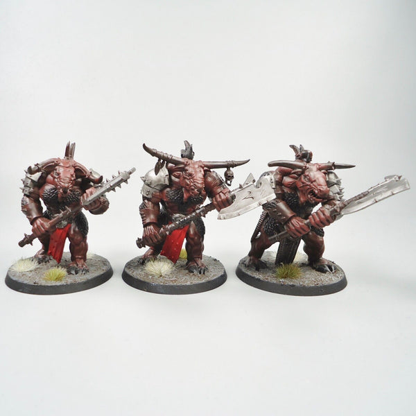 Warhammer Fantasy Age of Sigmar Army Beasts Of Chaos Beastmen Bullgors x3