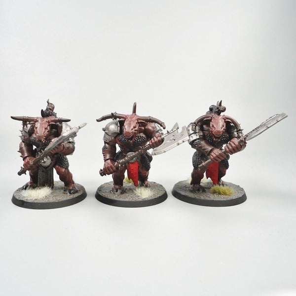 Warhammer Fantasy Age of Sigmar Army Beasts Of Chaos Beastmen Bullgors x3