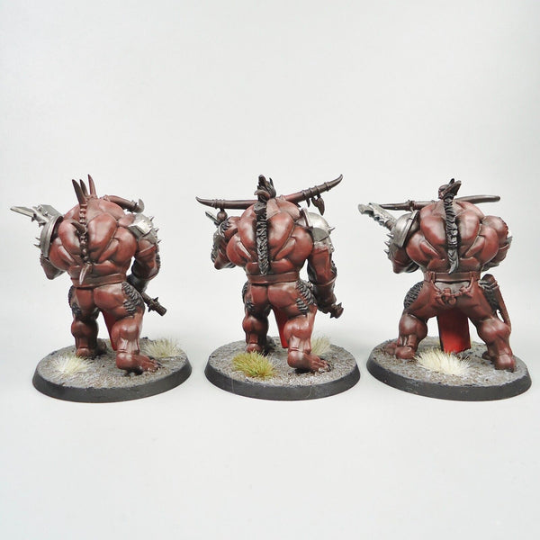 Warhammer Fantasy Age of Sigmar Army Beasts Of Chaos Beastmen Bullgors x3