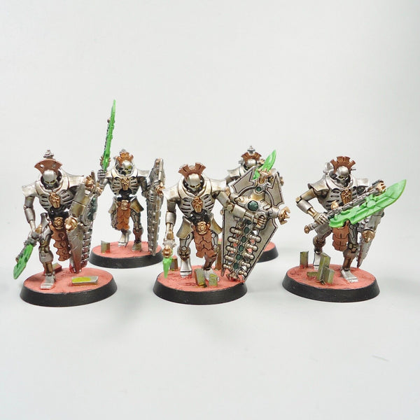 Warhammer 40k Army Necron Lychguard Squad Painted and Based