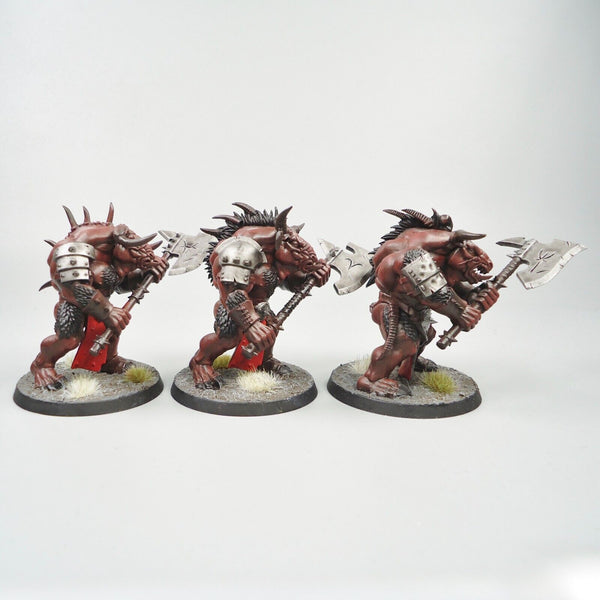 Warhammer Fantasy Age of Sigmar Army Beasts Of Chaos Beastmen Bullgors x3