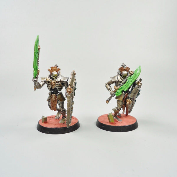 Warhammer 40k Army Necron Lychguard Squad Painted and Based