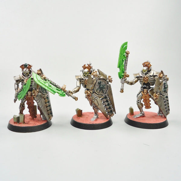 Warhammer 40k Army Necron Lychguard Squad Painted and Based