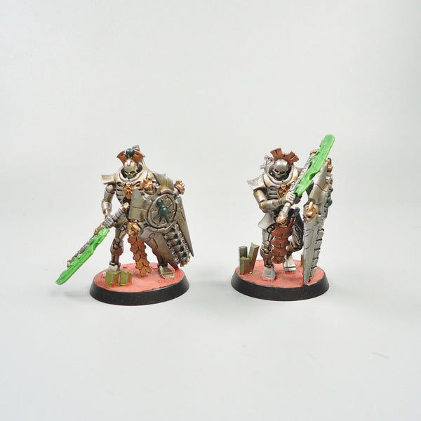 Warhammer 40k Army Necron Lychguard Squad Painted and Based