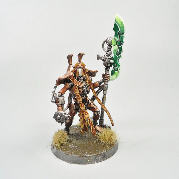 Warhammer 40k Army Necrons Necron Overlord Painted and Based