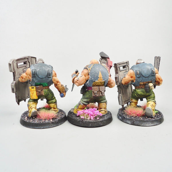 Warhammer 40k Army Astra Militarum Imperial Guard Bullgryns x3 Painted