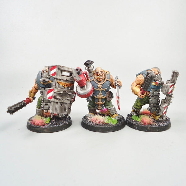 Warhammer 40k Army Astra Militarum Imperial Guard Bullgryns x3 Painted