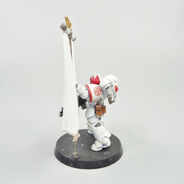 Warhammer 40k Army Space Marines White Scars Primaris Ancient Painted