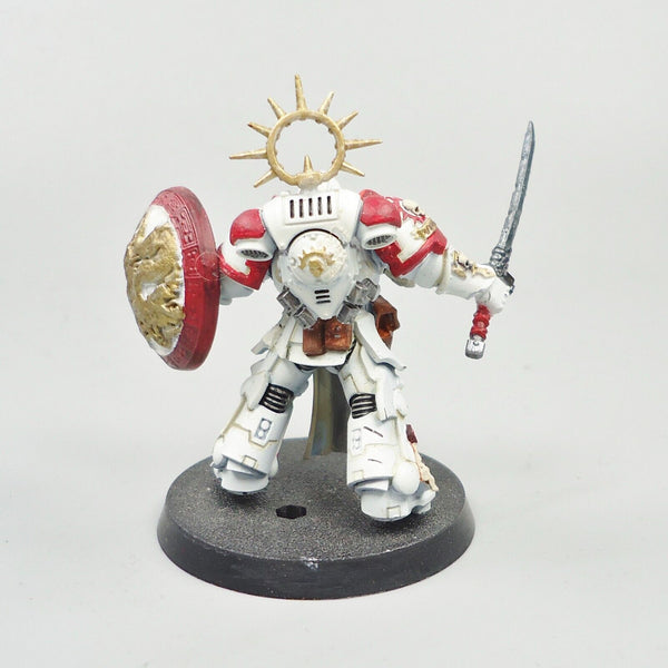 Warhammer 40k Army Space Marines White Scars Bladeguard Veteran Painted