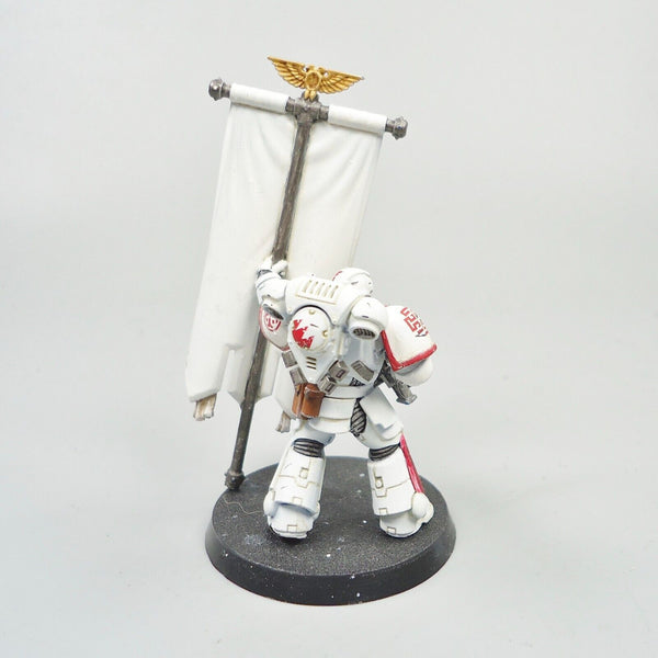 Warhammer 40k Army Space Marines White Scars Primaris Ancient Painted