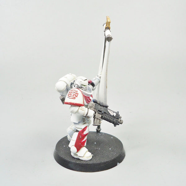 Warhammer 40k Army Space Marines White Scars Primaris Ancient Painted