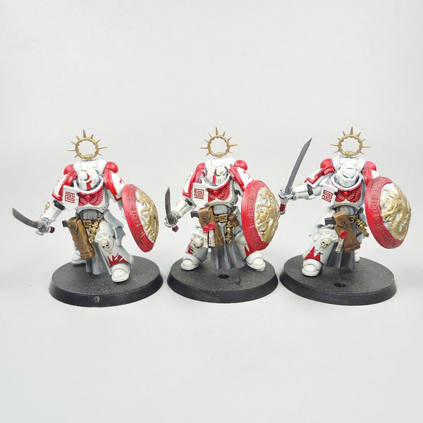 Warhammer 40k Army Space Marines White Scars Primaris Bladeguard Veterans x3