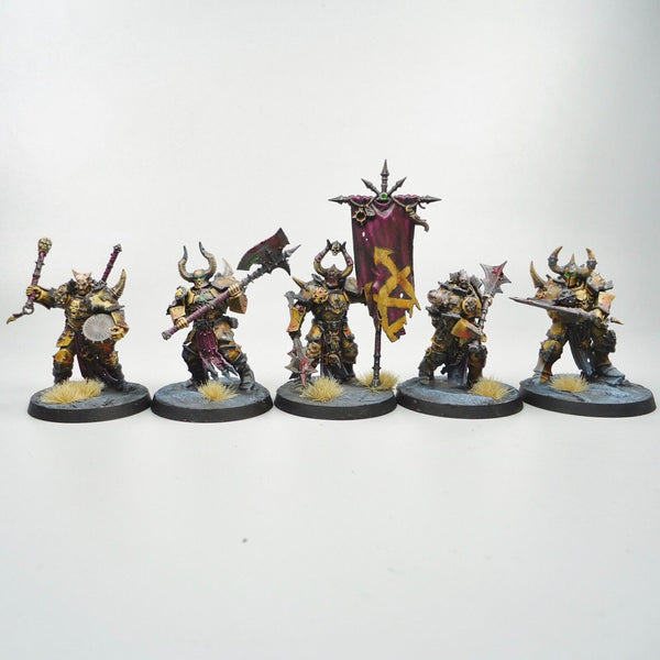 Chaos Chosen Painted - Slaves To Darkness Warhammer Fantasy Army Age of Sigmar