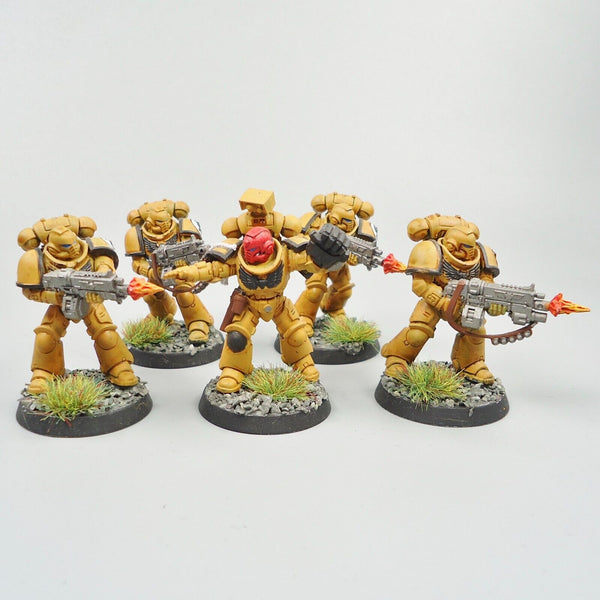 Imperial Fists Primaris Intercessors x5 Painted Warhammer 40k Army Space Marines