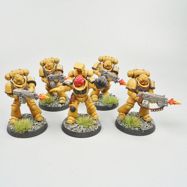 Imperial Fists Primaris Intercessors x5 Painted Warhammer 40k Army Space Marines