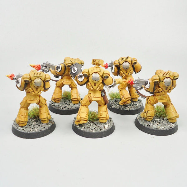 Imperial Fists Primaris Intercessors x5 Painted Warhammer 40k Army Space Marines