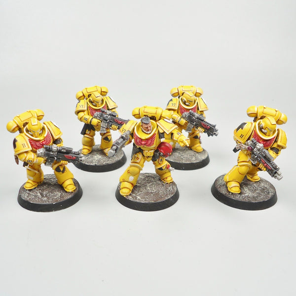 Imperial Fists Intercessors x5 Painted - Warhammer 40k Army Space Marines