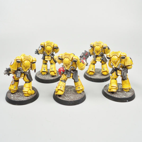 Imperial Fists Intercessors x5 Painted - Warhammer 40k Army Space Marines