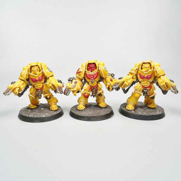 Imperial Fists Primaris Aggressors x3 Painted - Warhammer 40k Army Space Marines