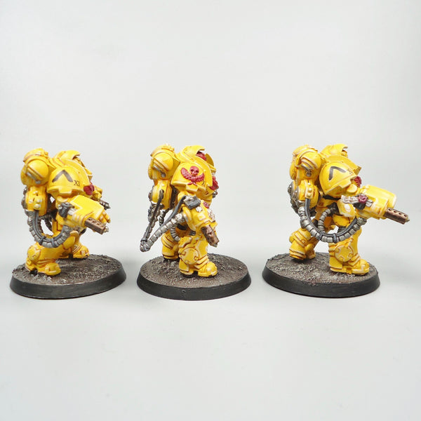 Imperial Fists Primaris Aggressors x3 Painted - Warhammer 40k Army Space Marines