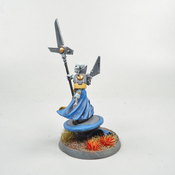 Tau Empire Ethereal Painted And Based - Warhammer Army 40k