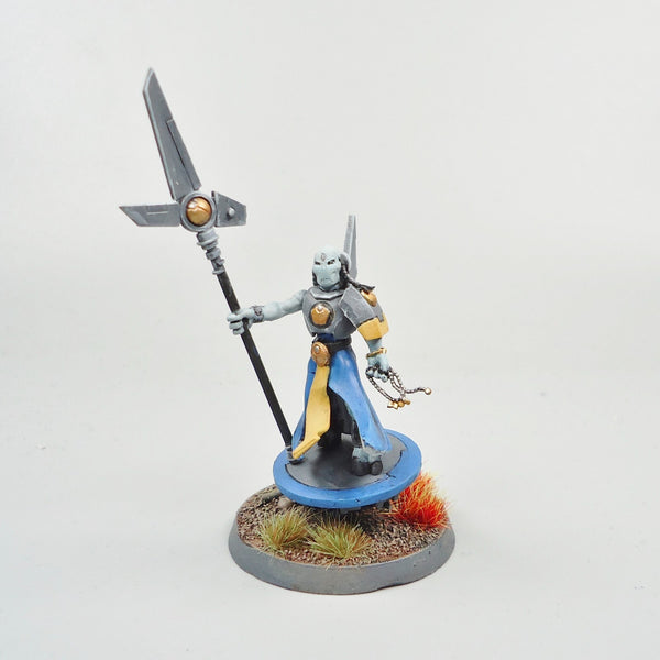 Tau Empire Ethereal Painted And Based - Warhammer Army 40k