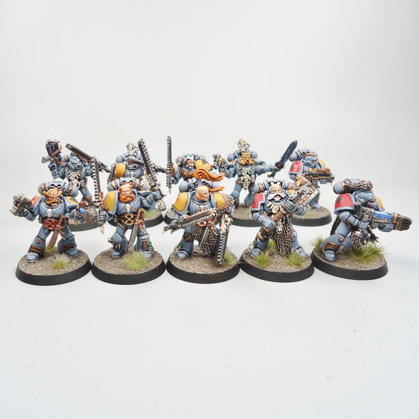 Space Wolves Marines x10 Painted - Warhammer 40k Army Space Marines