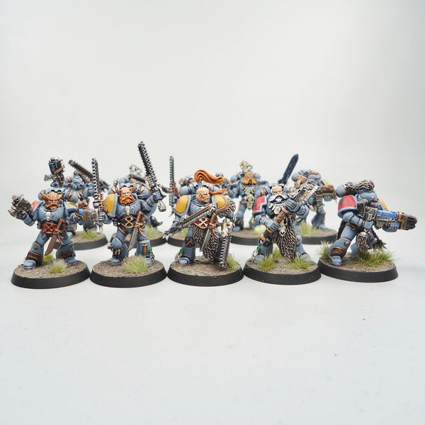 Space Wolves Marines x10 Painted - Warhammer 40k Army Space Marines