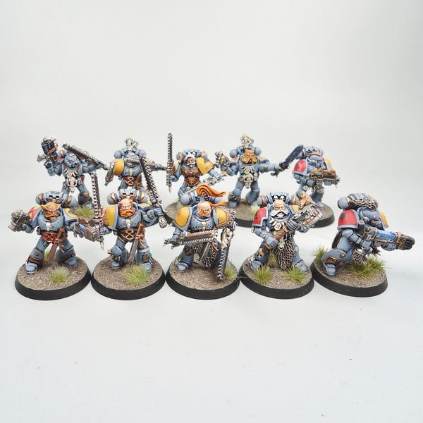 Space Wolves Marines x10 Painted - Warhammer 40k Army Space Marines