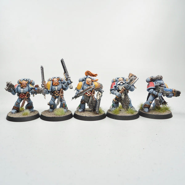 Space Wolves Marines x10 Painted - Warhammer 40k Army Space Marines