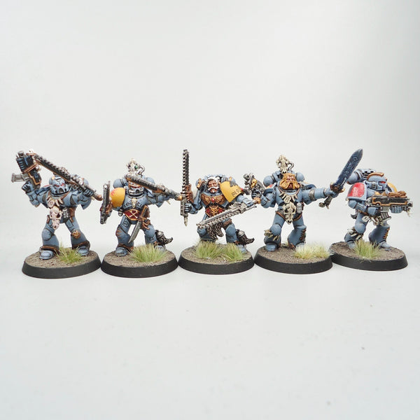 Space Wolves Marines x10 Painted - Warhammer 40k Army Space Marines