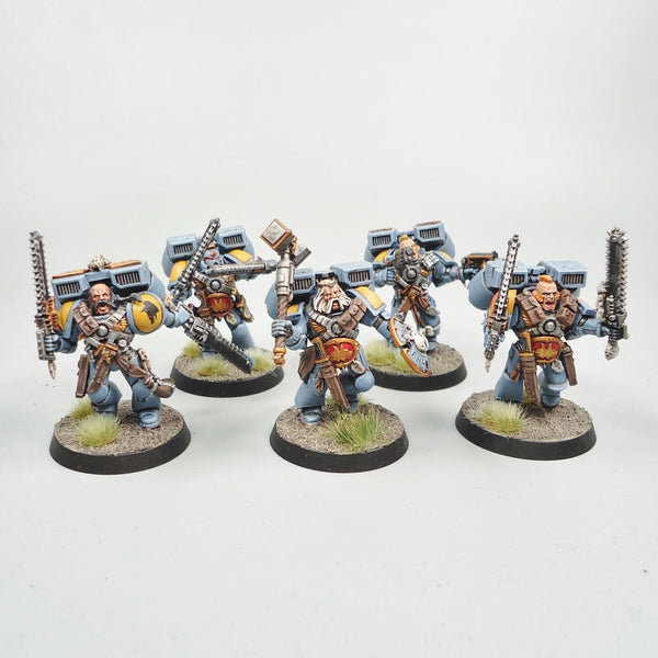 Space Wolves Jump Pack Marines x5 Painted - Warhammer 40k Army Space Marines