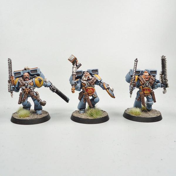 Space Wolves Jump Pack Marines x5 Painted - Warhammer 40k Army Space Marines