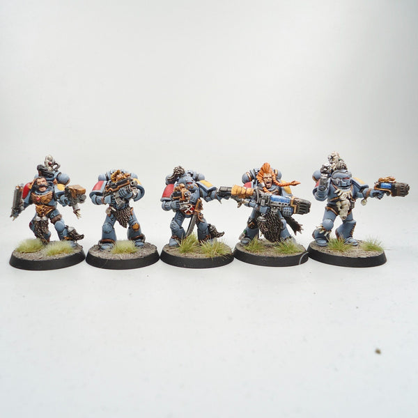 Space Wolves Marines x10 Painted - Warhammer 40k Army Space Marines