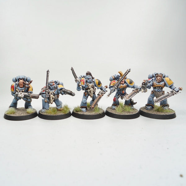 Space Wolves Marines x10 Painted - Warhammer 40k Army Space Marines