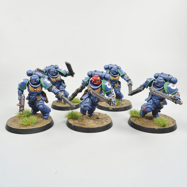 Ultramarines Assault Intercessors x5 Painted - Warhammer 40k Army Space Marines
