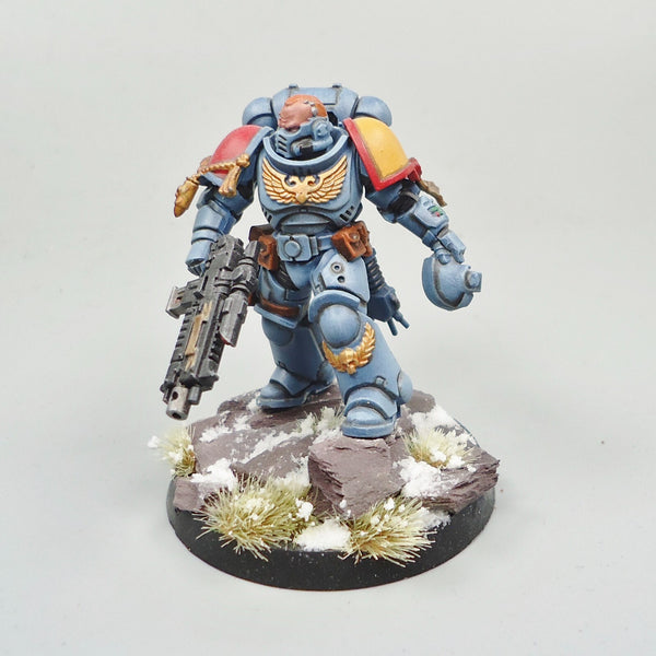 Space Wolves Lieutenant Painted -  Warhammer 40k Army Space Marines