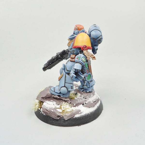 Space Wolves Lieutenant Painted -  Warhammer 40k Army Space Marines